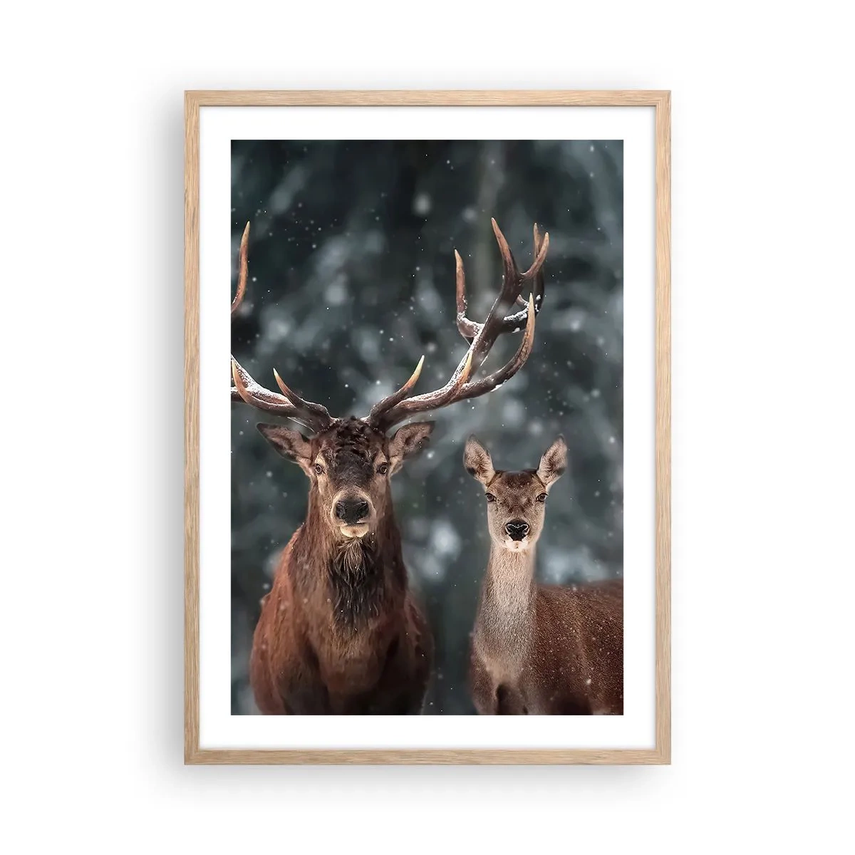 Poster în ramă de stejar deschis - Stăpânul pădurii și soția sa - 50x70 cm