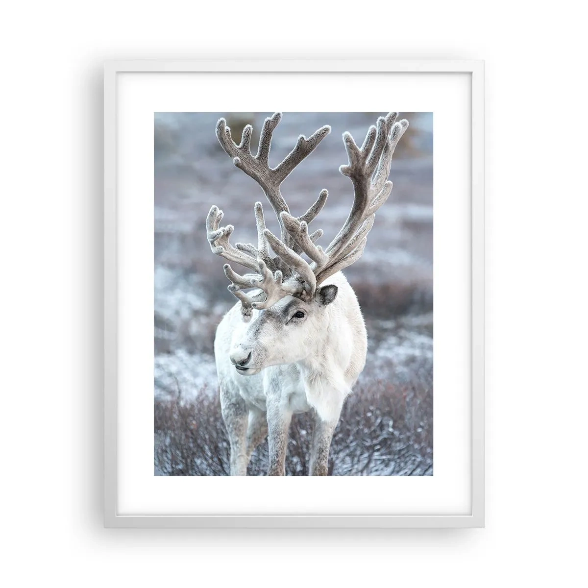 Poster în ramă albă - Portret la soare - 40x50 cm