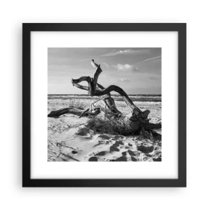 Poster în ramă neagră - Sculptură marină - 30x30 cm