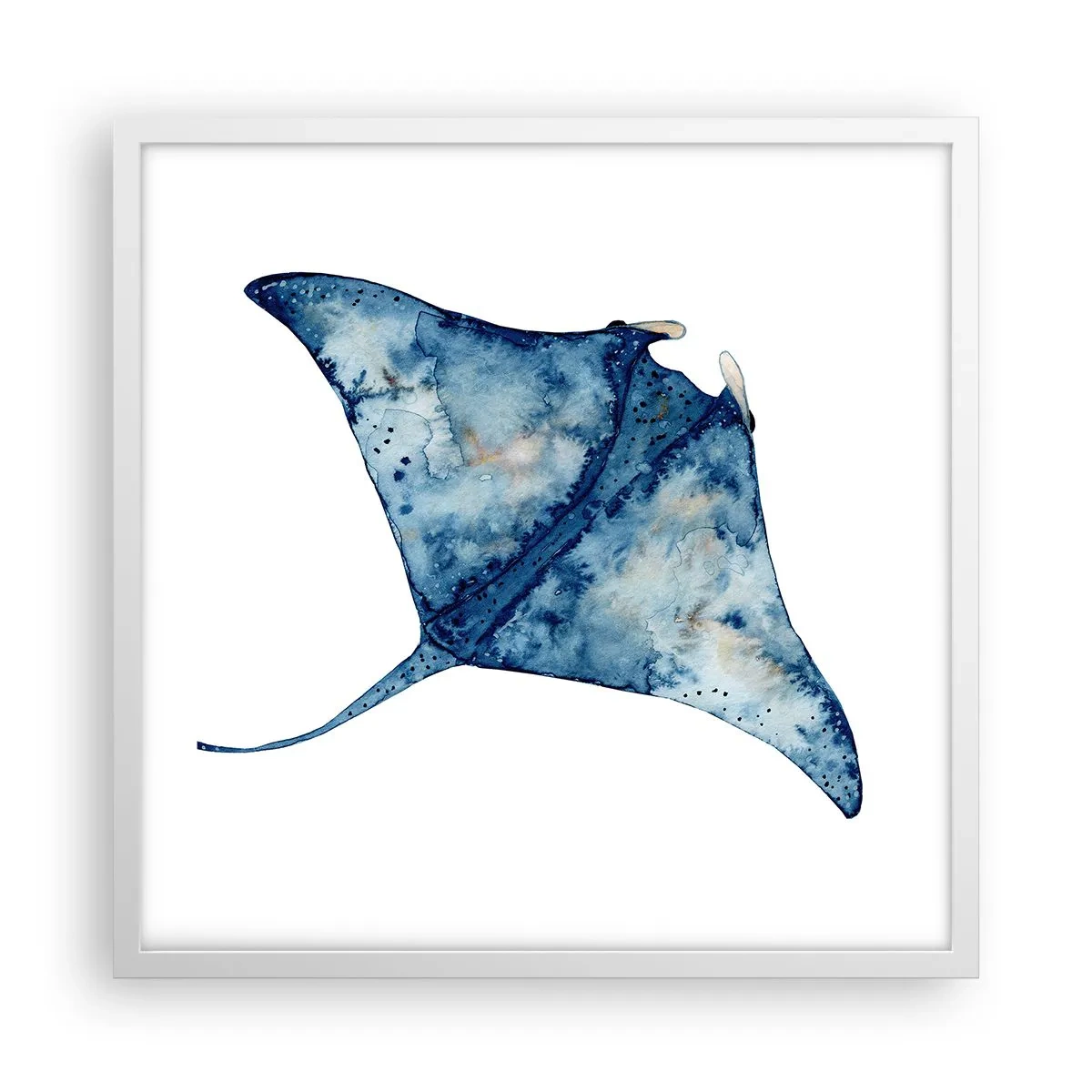 Poster în ramă albă - Viața în albastru - 50x50 cm