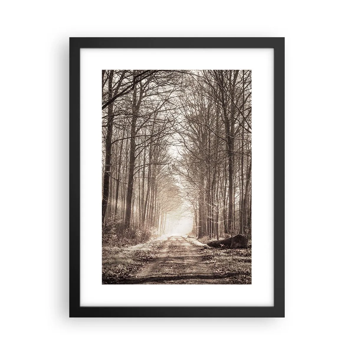 Poster în ramă neagră - Catedrala Forestieră - 30x40 cm