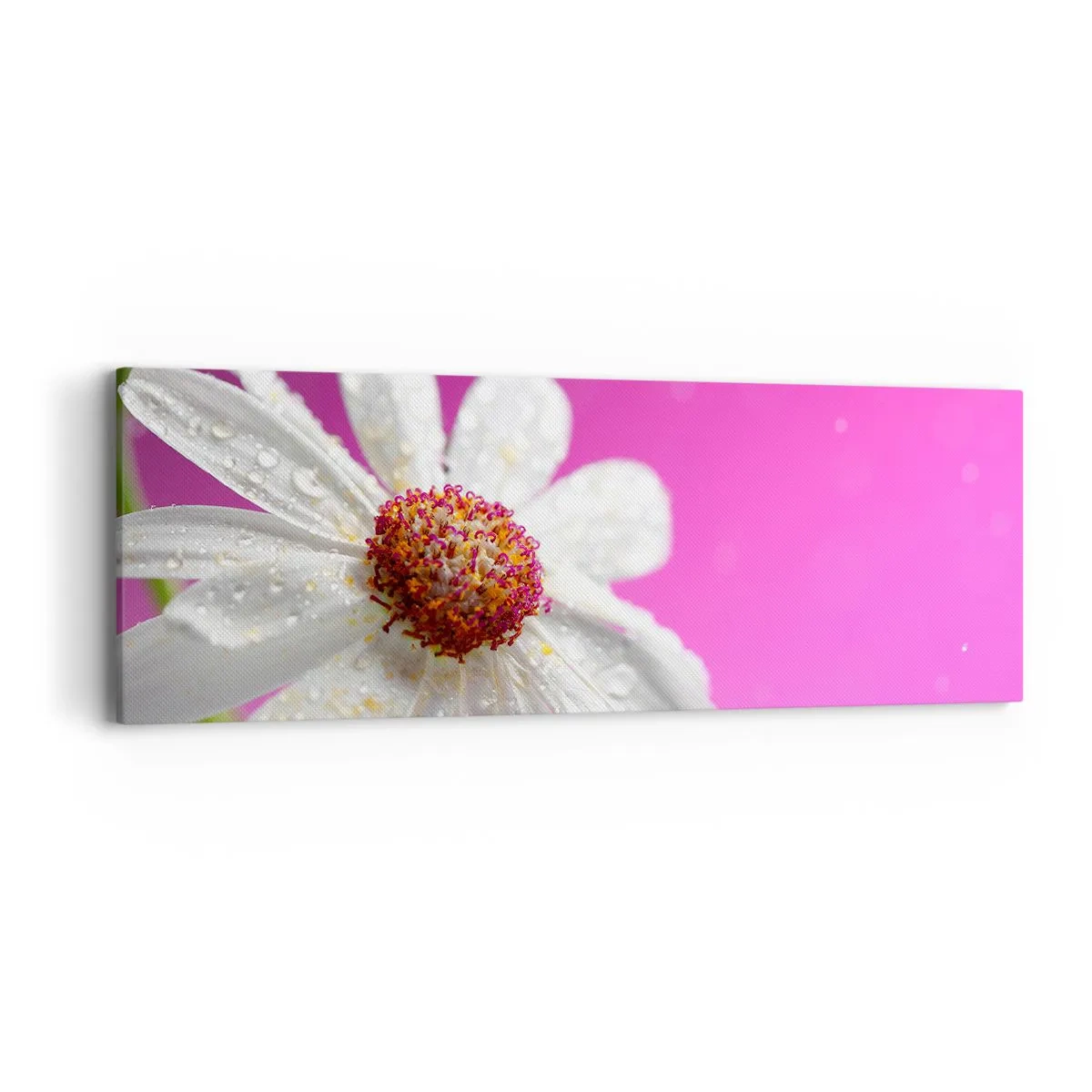 Tablou pe pânză - Modestă în frumusețea ei - 90x30 cm