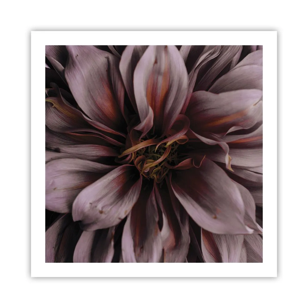 Poster - Inimă florală - 60x60 cm