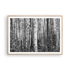 Poster în ramă de stejar deschis - Coloane de mesteacăn - 100x70 cm