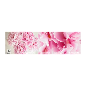 Mostră tapet autocolant Deluxe Sticker - În luxul roz - Bujori, Buchet de flori, Flori - 100x30 cm