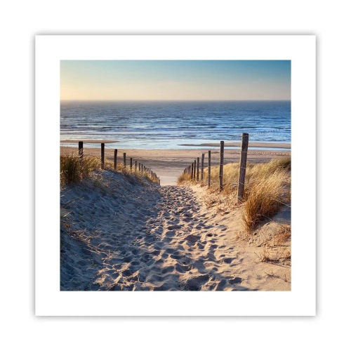 Poster - Zumzet de mare, o plajă sălbatică printre ierburi... - 40x40 cm