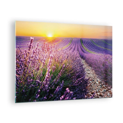 Tablou pe sticlă - Câmp de lavandă la răsărit cu o potecă stâncoasă - 70x50cm - Câmpul parfumat - Decorațiune modernă pentru perete pentru living și dormitor ARTTOR