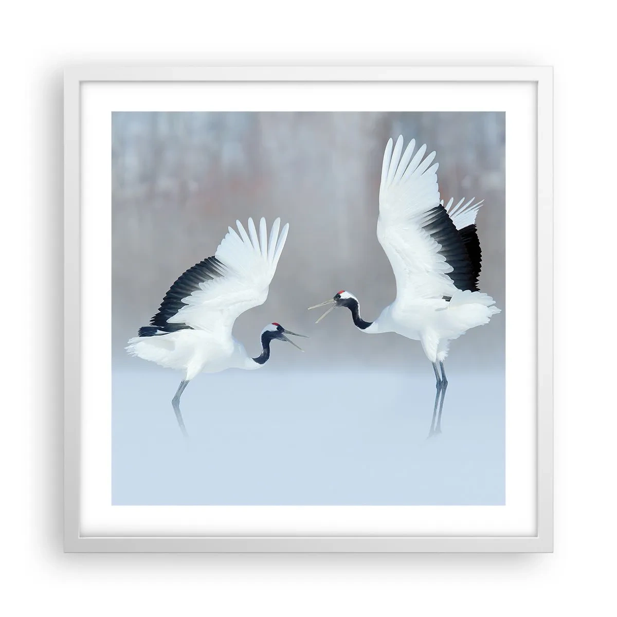 Poster în ramă albă - Dansând în ceață - 50x50 cm