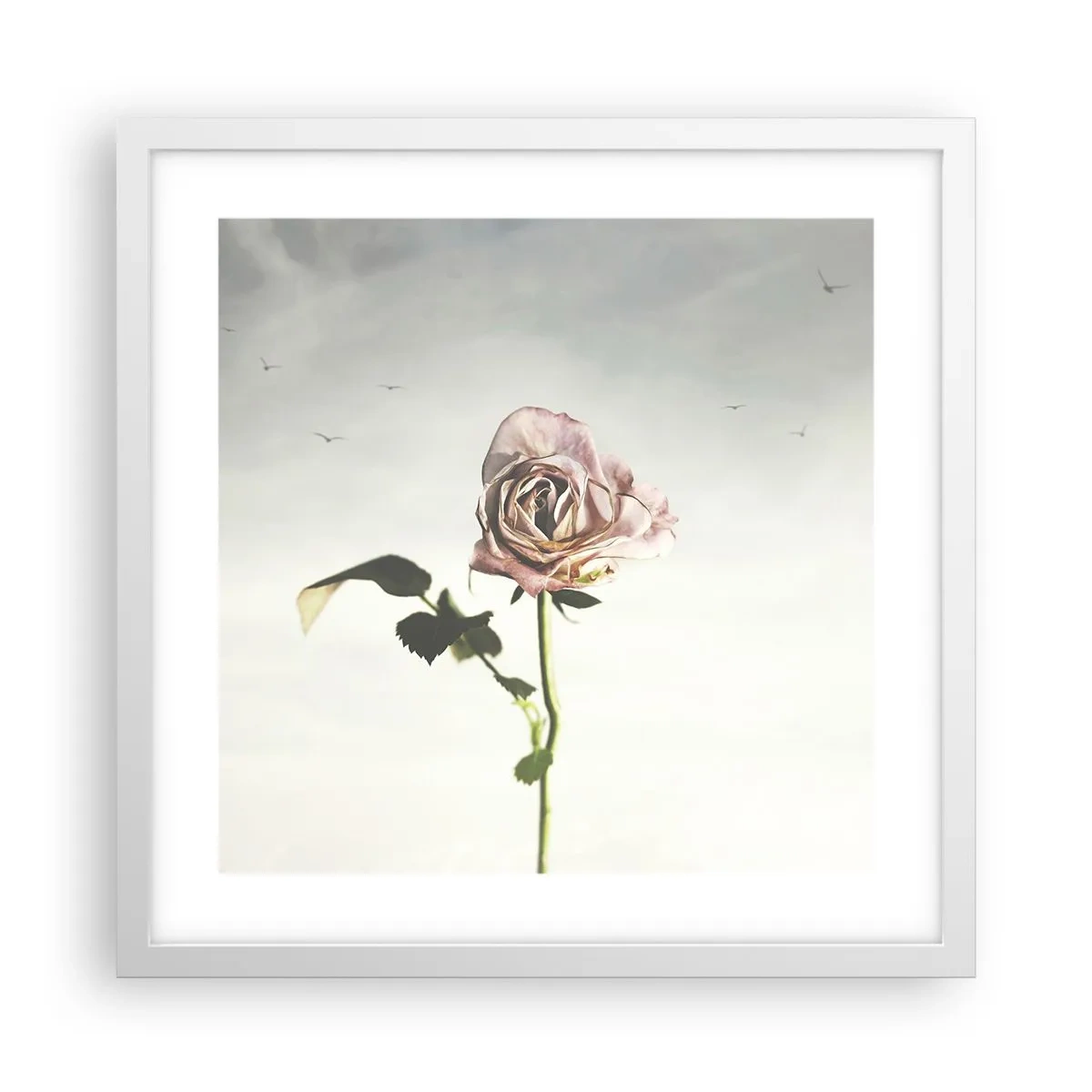 Poster în ramă albă - Primăvara binevenită - 40x40 cm