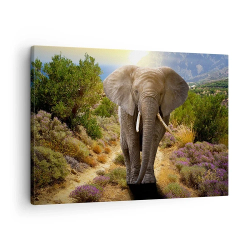Tablou pe pânză Canvas - Un elefant african pe fundalul unui peisaj montan și de savană - 70x50cm - Iată cum arăta Edenul - Decorațiune modernă pentru perete pentru living și dormitor ARTTOR