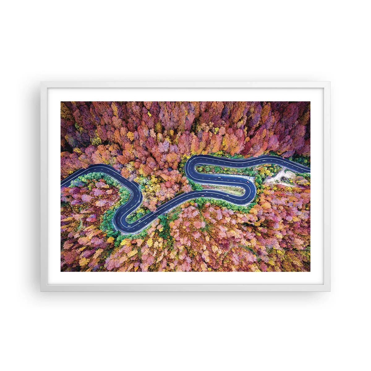 Poster în ramă albă - Un drum șerpuit prin pădure - 70x50 cm