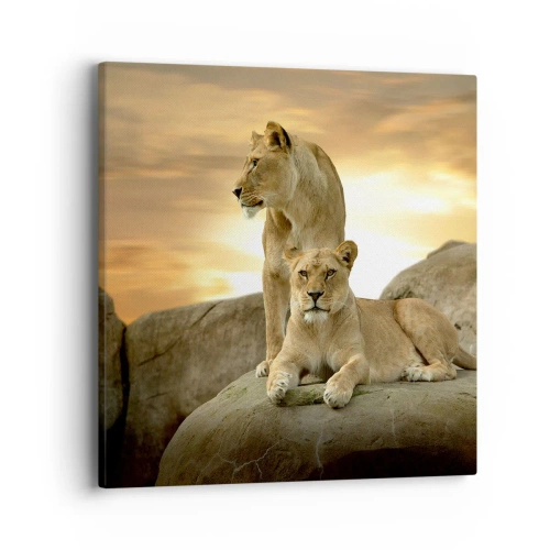 Tablou pe pânză - Maiestate regală - 40x40 cm
