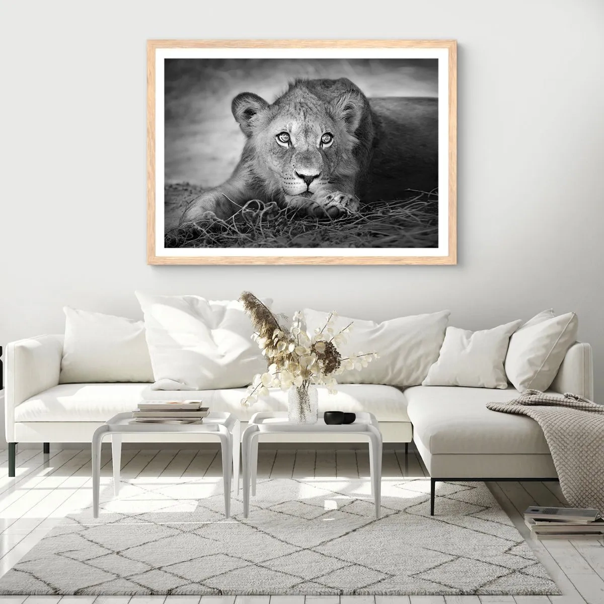 Poster în ramă de stejar deschis - Pisicuța regală - 50x40 cm
