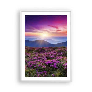 Poster în ramă albă - Ierburile proaspete miroseau puternic - 50x70 cm