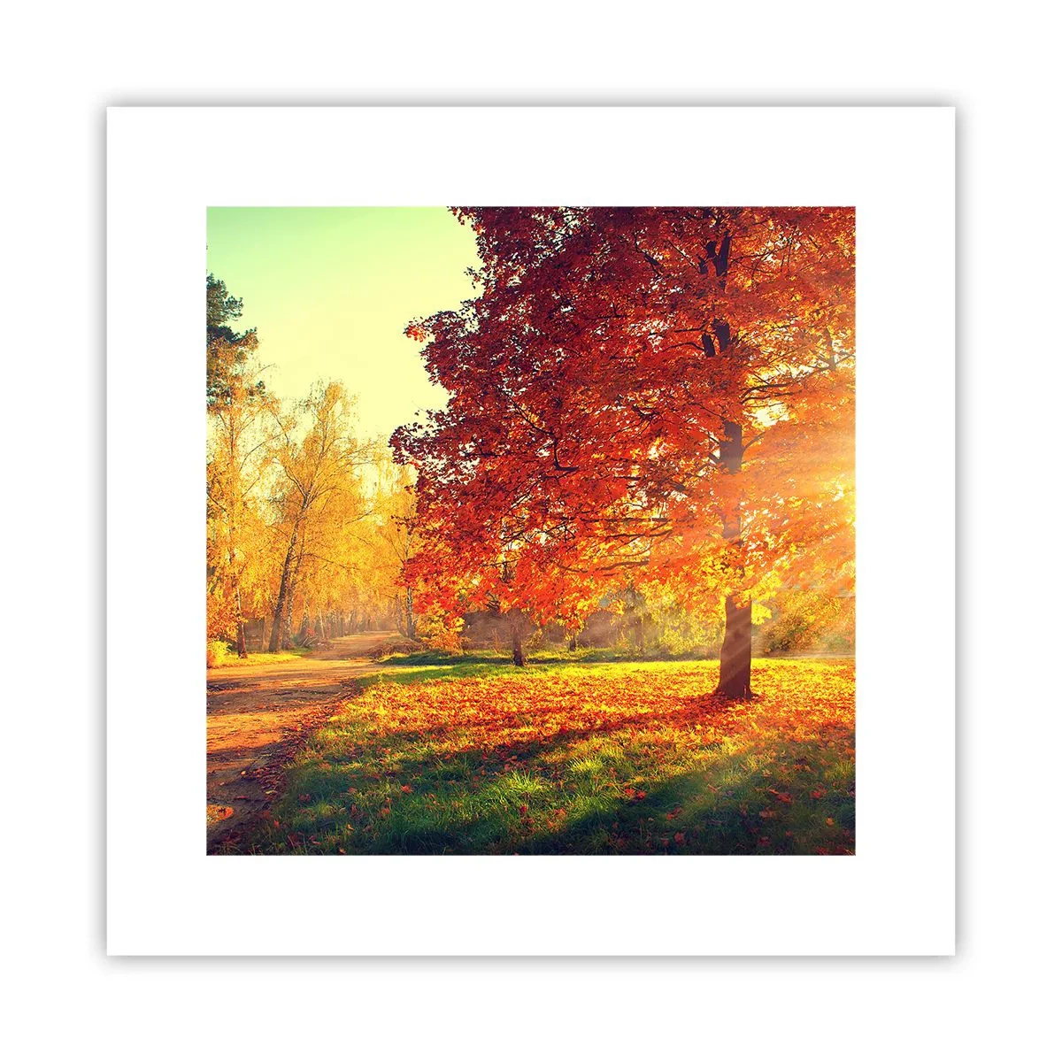 Poster - Roșcatul este frumos - 30x30 cm