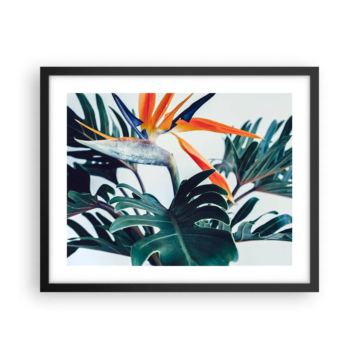 Poster în ramă neagră - Tufiș sau pasăre? - 50x40 cm