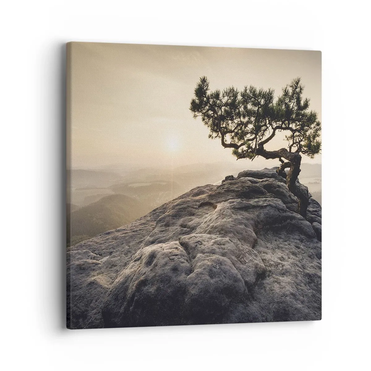 Tablou pe pânză - Viața învinge întotdeauna - 40x40 cm