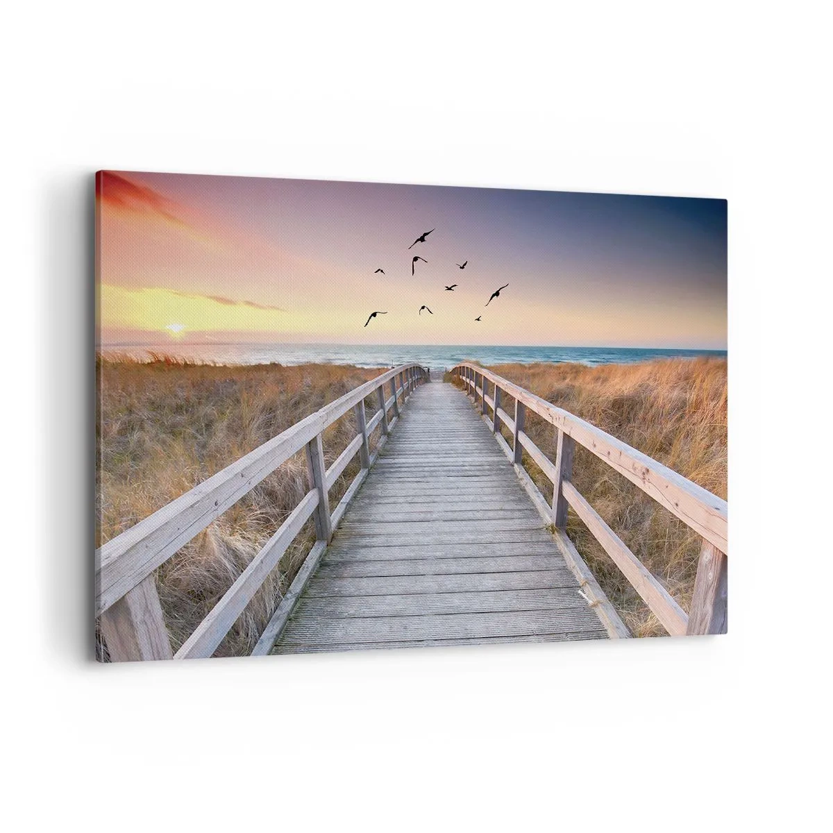 Tablou pe pânză - Spațiul pentru a zbura - 100x70 cm