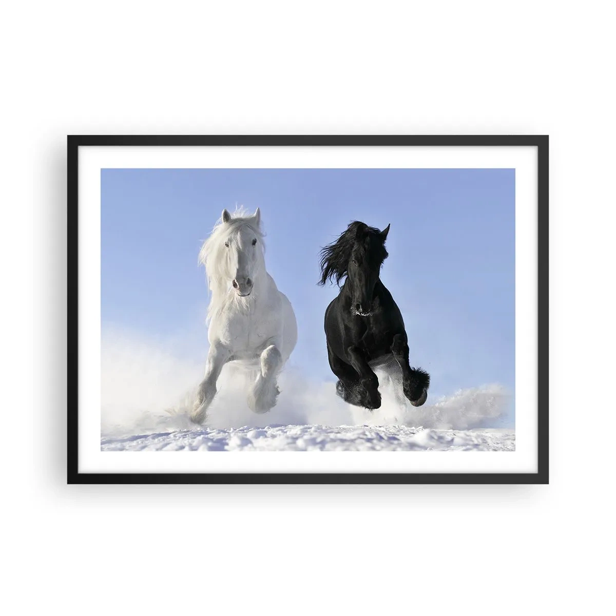 Poster în ramă neagră - Galop de alb și negru - 70x50 cm