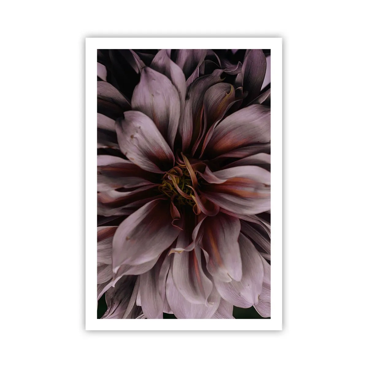 Poster - Inimă florală - 61x91 cm