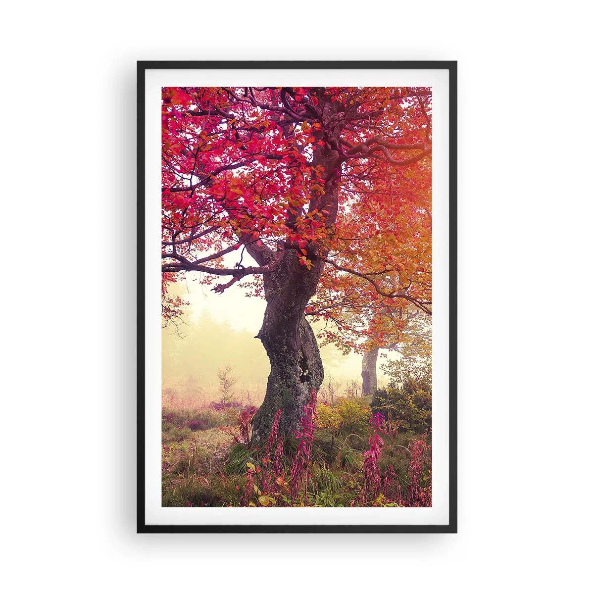 Poster în ramă neagră - O frenezie de înflorire - 61x91 cm
