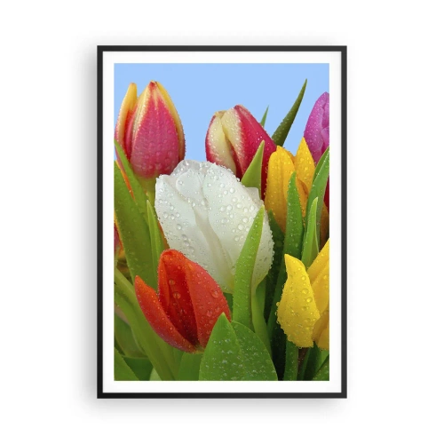 Poster în ramă neagră - Un curcubeu floral în picături de rouă - 70x100 cm