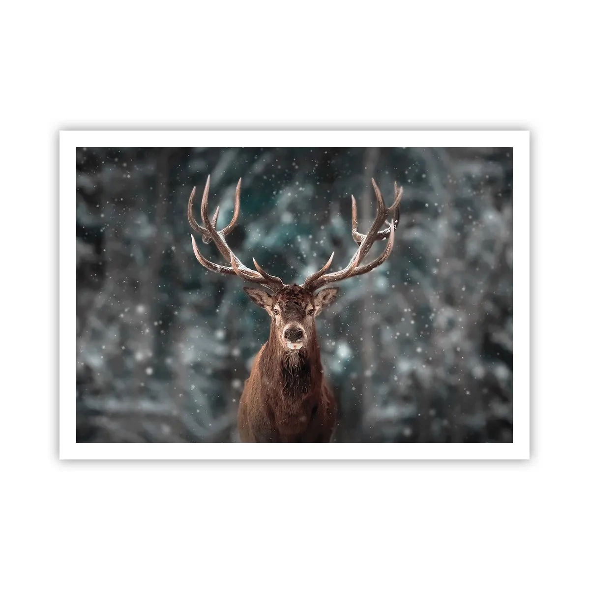Poster - Regele pădurii a fost încoronat - 100x70 cm