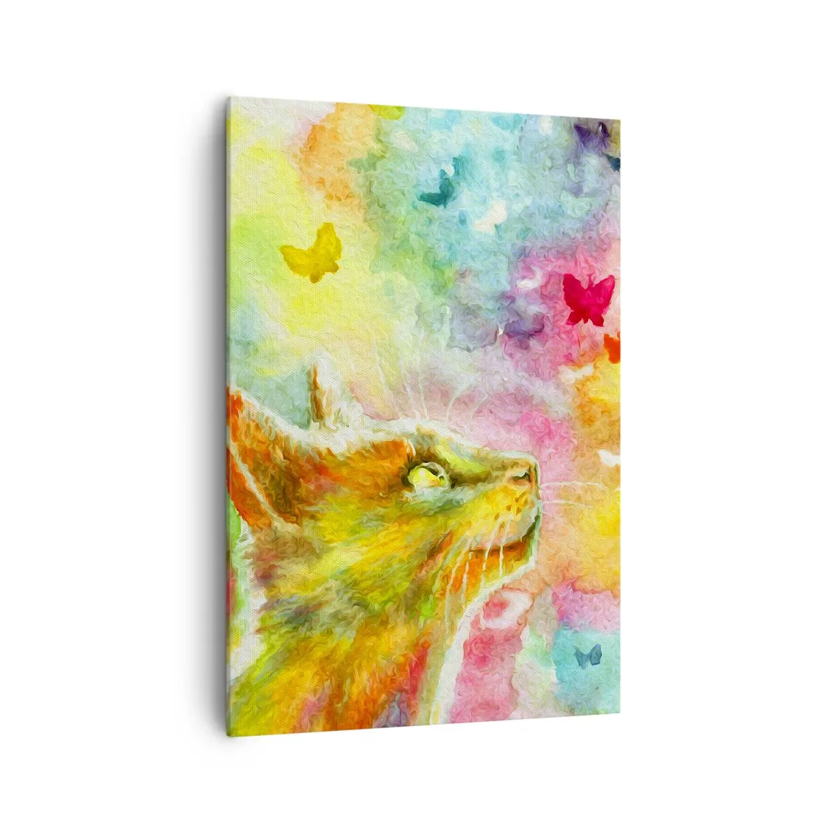 Tablou pe pânză - Raiul pisicilor - 70x100 cm