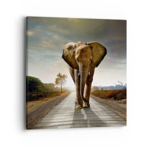 Tablou pe pânză - Și-a pierdut cipicii... - 40x40 cm