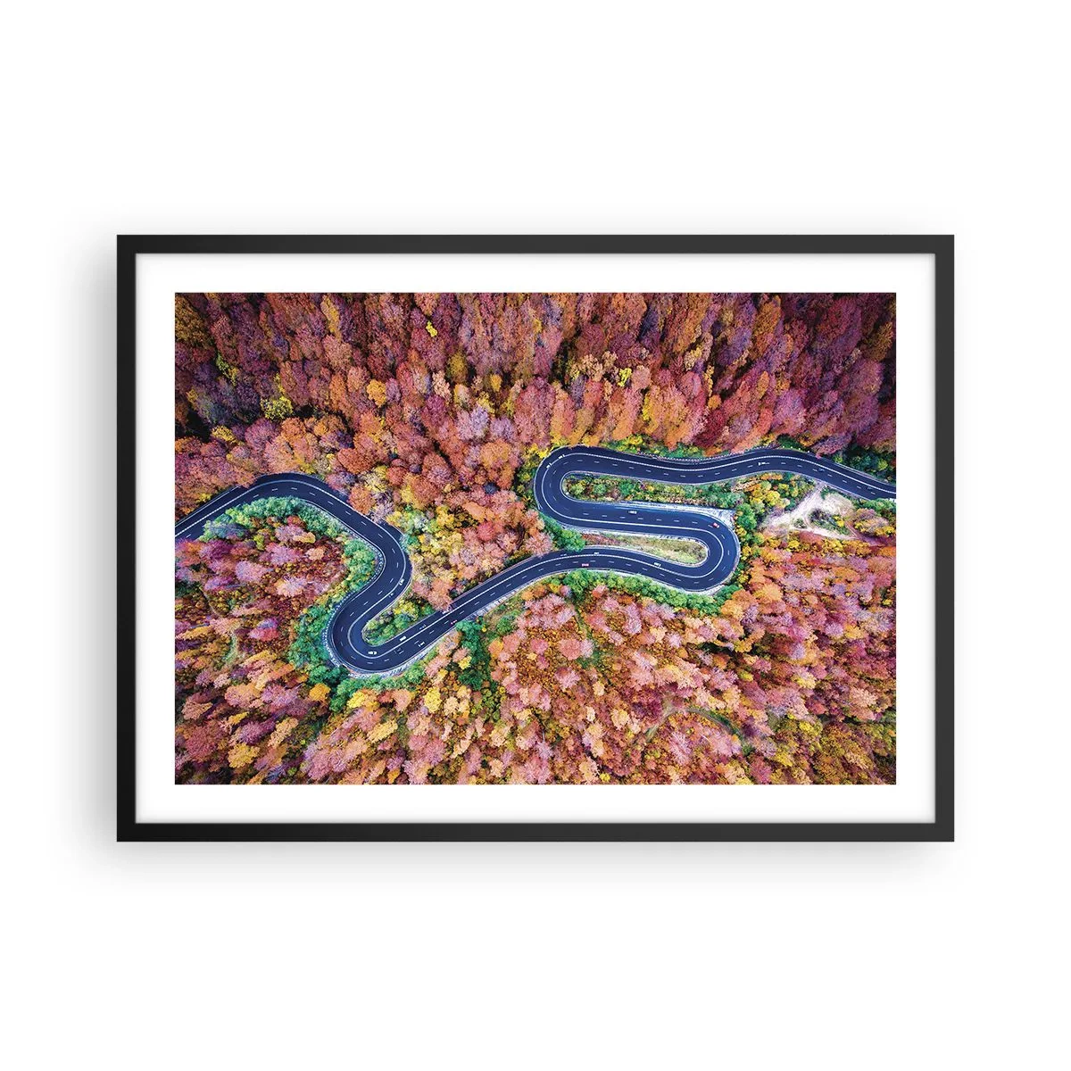 Poster în ramă neagră - Un drum șerpuit prin pădure - 70x50 cm