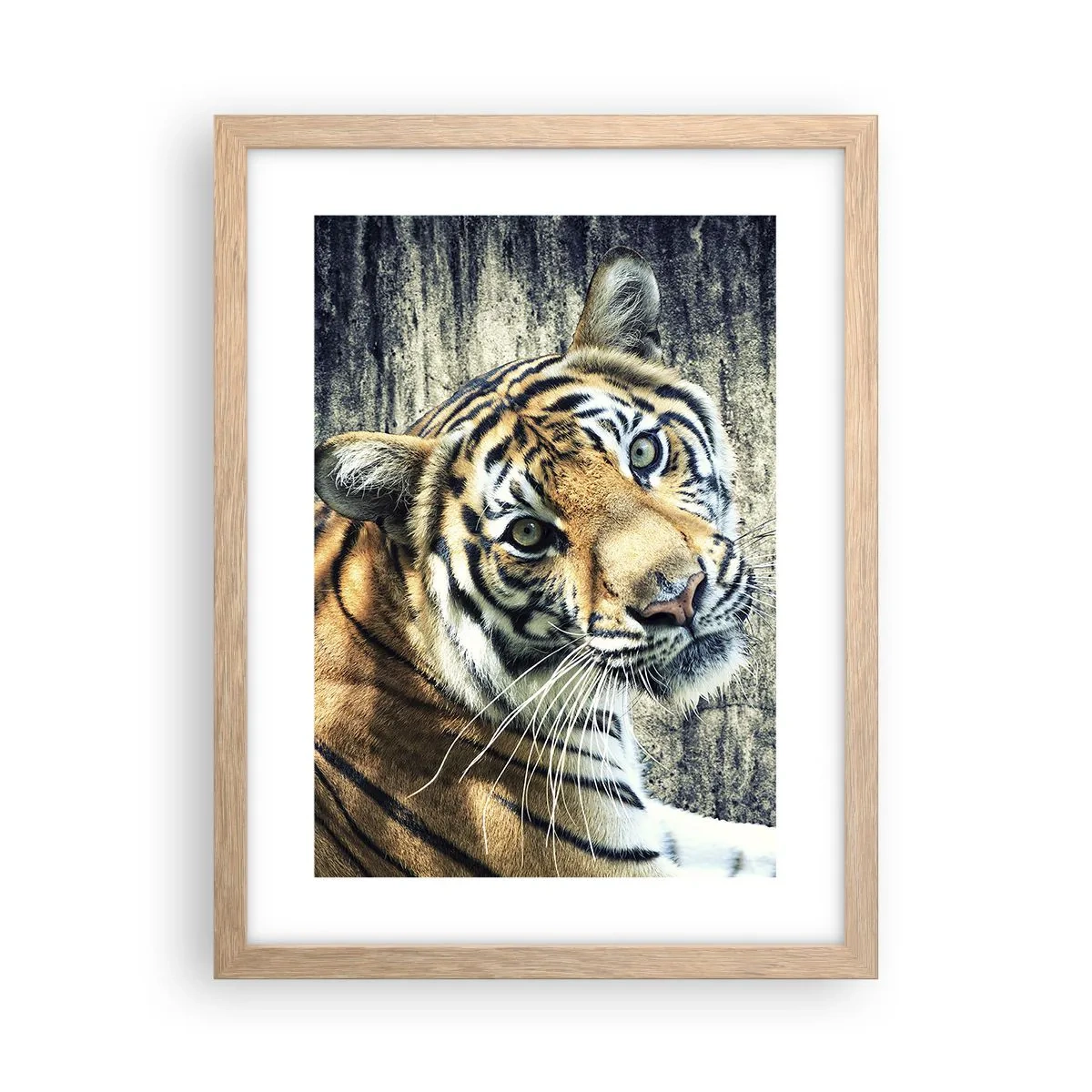 Poster în ramă de stejar deschis - Portret în fluxuri de lumină - 30x40 cm