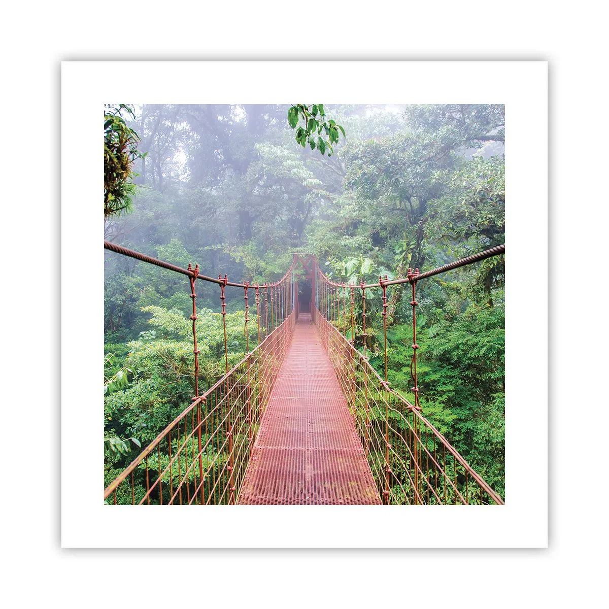 Poster - Suspendat deasupra coroanelor arborilor - 40x40 cm