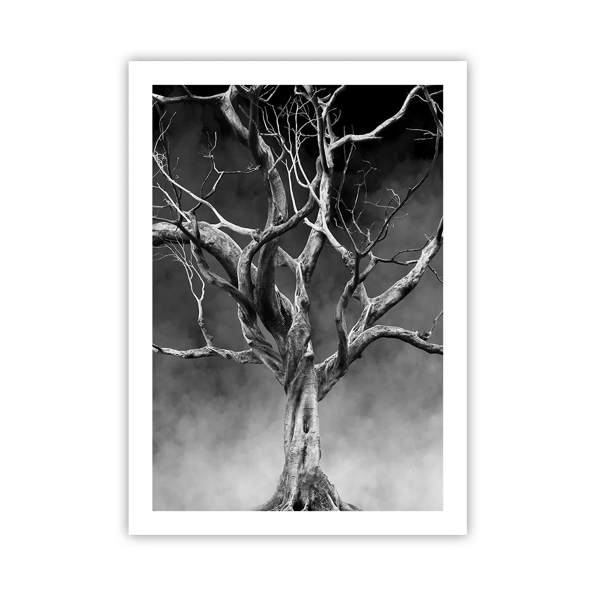 Poster - Primare și sacre - 50x70 cm