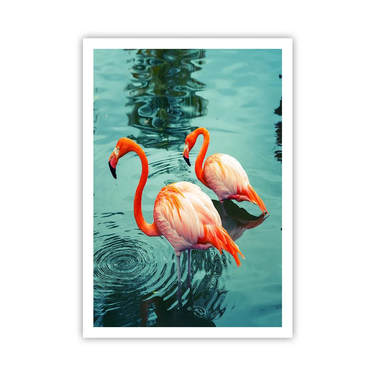 Poster - Suntem bune de revistele de modă - 70x100 cm