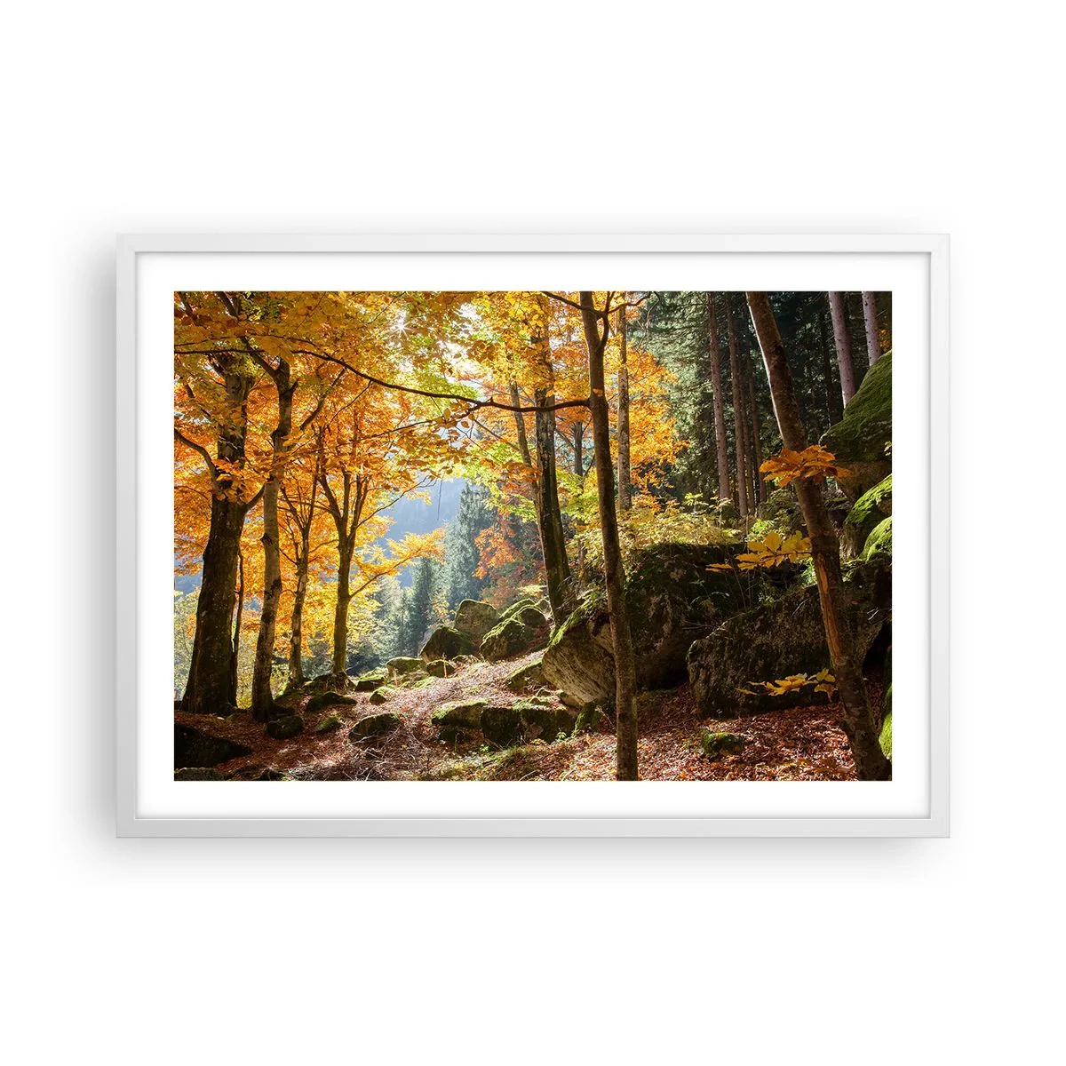 Poster în ramă albă - Timp de relaxare - 70x50 cm