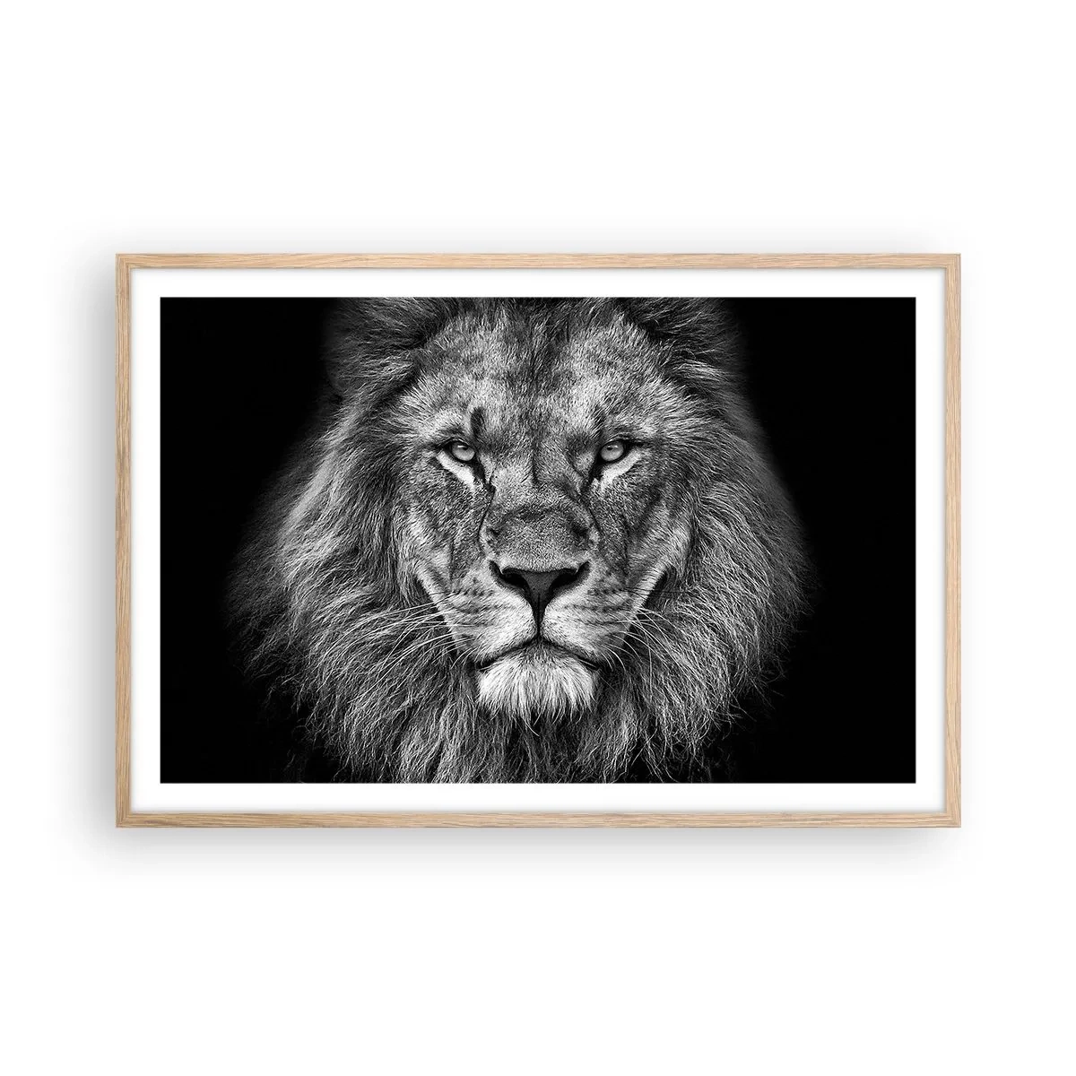 Poster în ramă de stejar deschis - În ținuta de încoronare - 91x61 cm