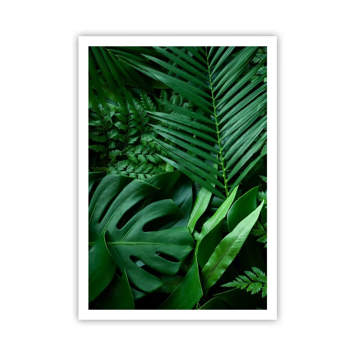 Poster - Înfășurate în verde - 70x100 cm