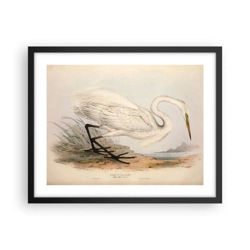 Poster în ramă neagră - Doamna în stufărișuri - 50x40 cm