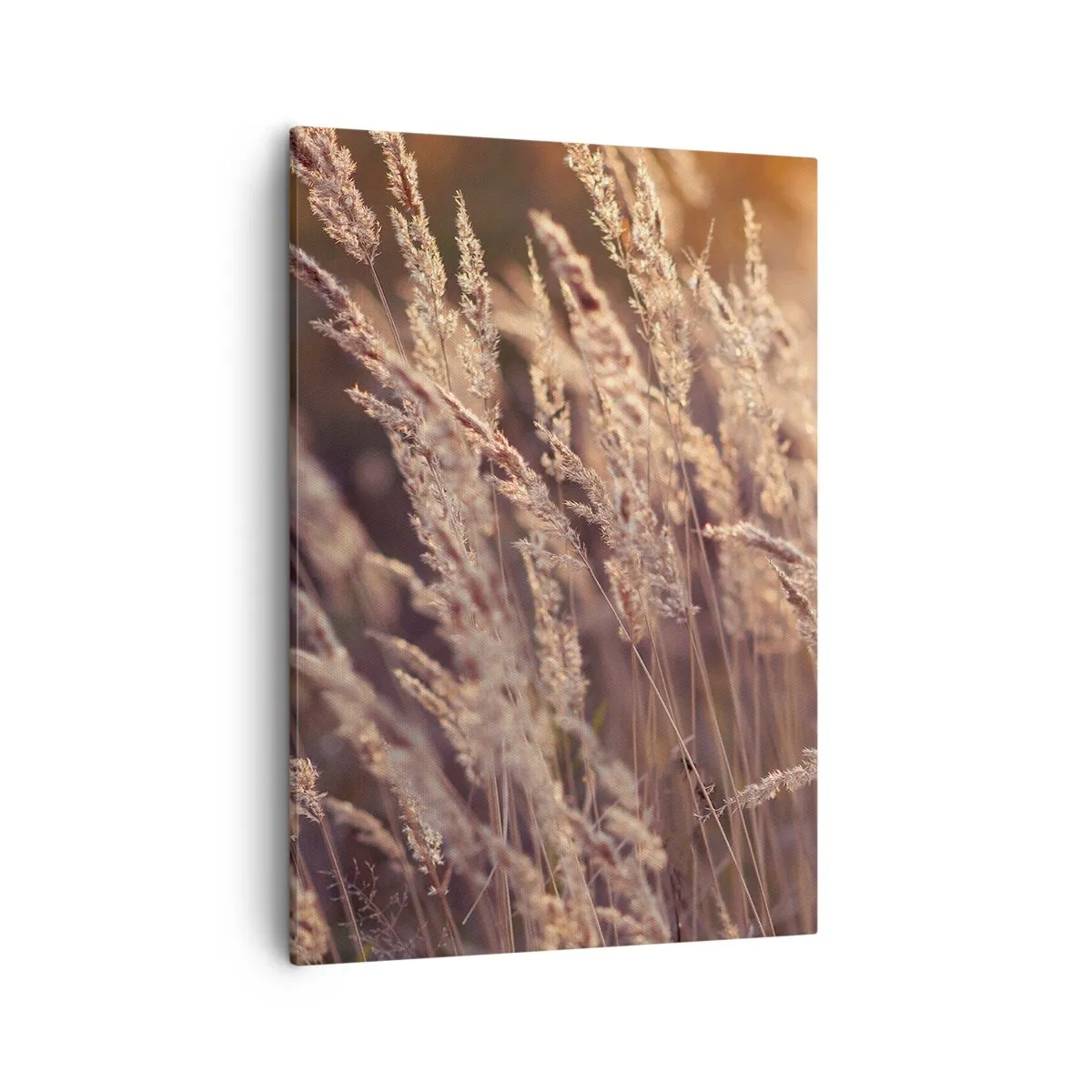 Tablou pe pânză - Gata să întâmpine toamna - 50x70 cm