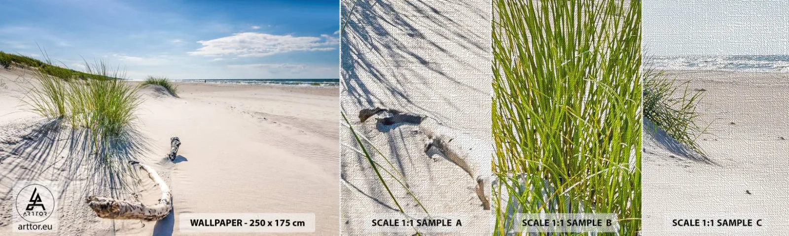 Mostră tapet Premium Canvas - Cea mai frumoasă? Baltică - Mare, plajă, Dună - 100x30 cm