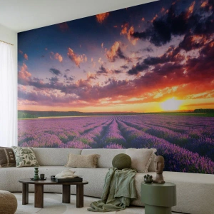 Tapet Premium Canvas - Lumea lavandei - Peisaj, Câmp de lavandă, Lavandă - 100x70 cm