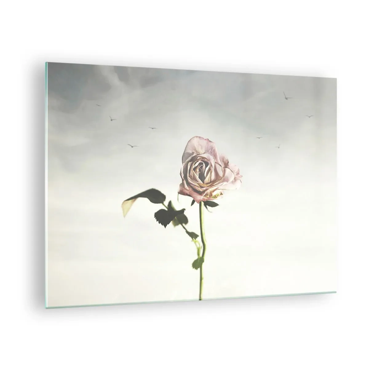 Tablou pe sticlă - Un trandafir delicat pe cer cu păsări în zbor - 70x50cm - Primăvara binevenită - Decorațiune modernă pentru perete pentru living și dormitor ARTTOR