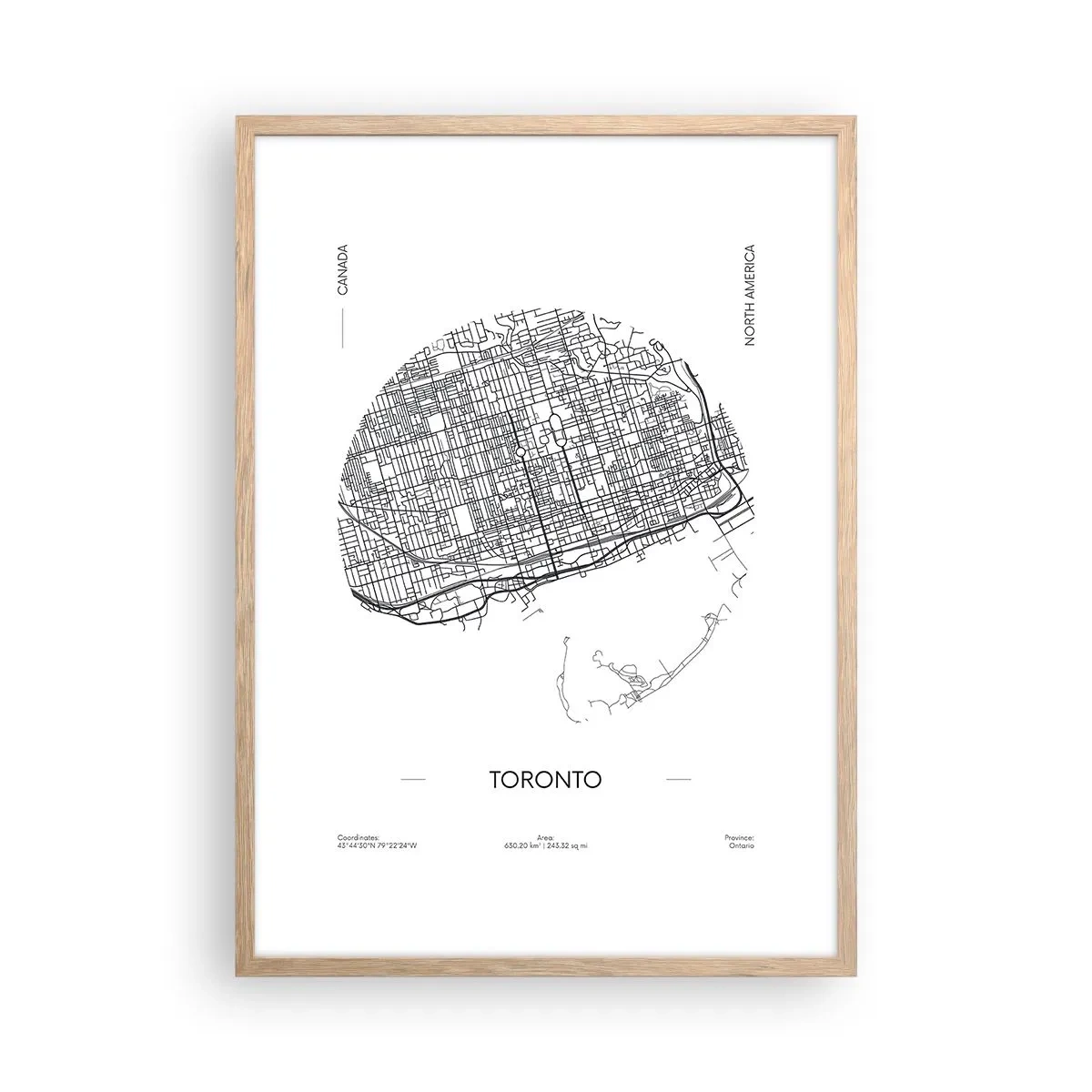 Poster în ramă de stejar deschis - Anatomia Toronto - 50x70 cm