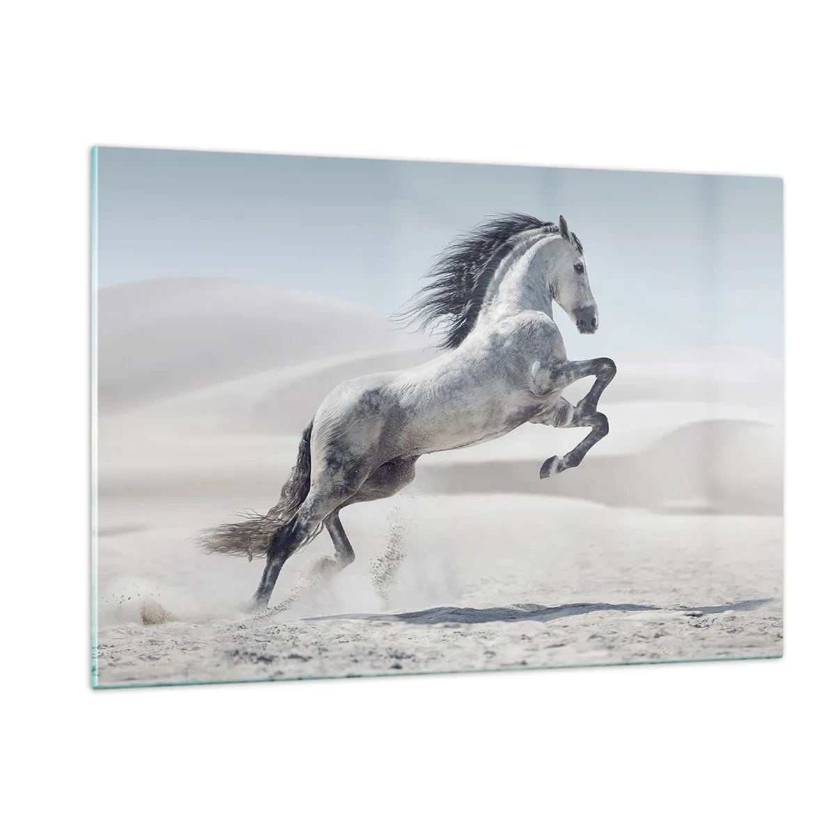 Tablou pe sticlă - Prinț arab - 120x80 cm