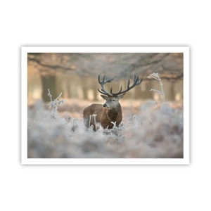 Poster - O dimineață răcoroasă - 100x70 cm