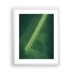 Poster în ramă albă - Structura verdelui - 40x50 cm