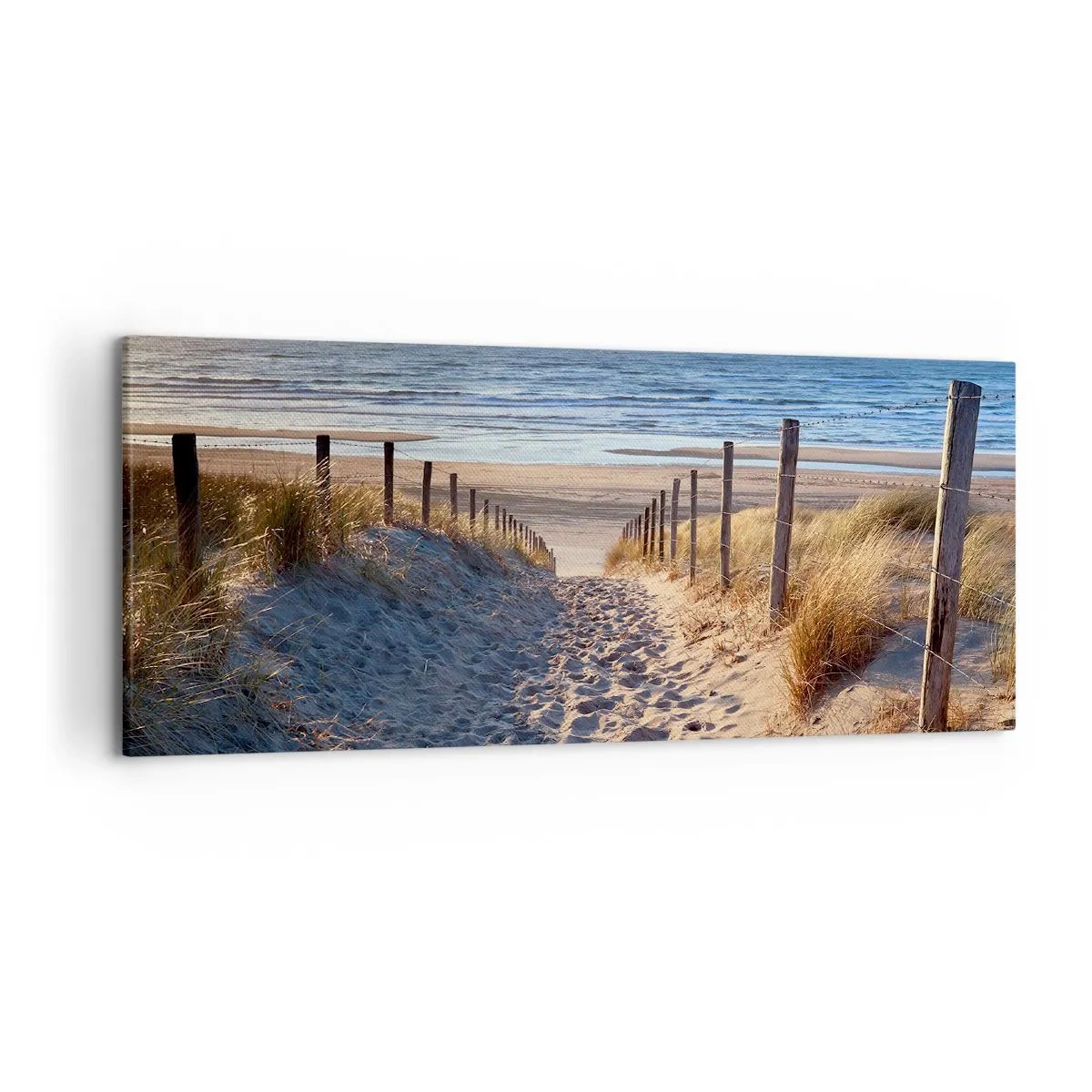Tablou pe pânză - Zumzet de mare, o plajă sălbatică printre ierburi... - 120x50 cm
