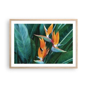 Poster în ramă de stejar deschis - Este o floare sau o pasăre? - 70x50 cm