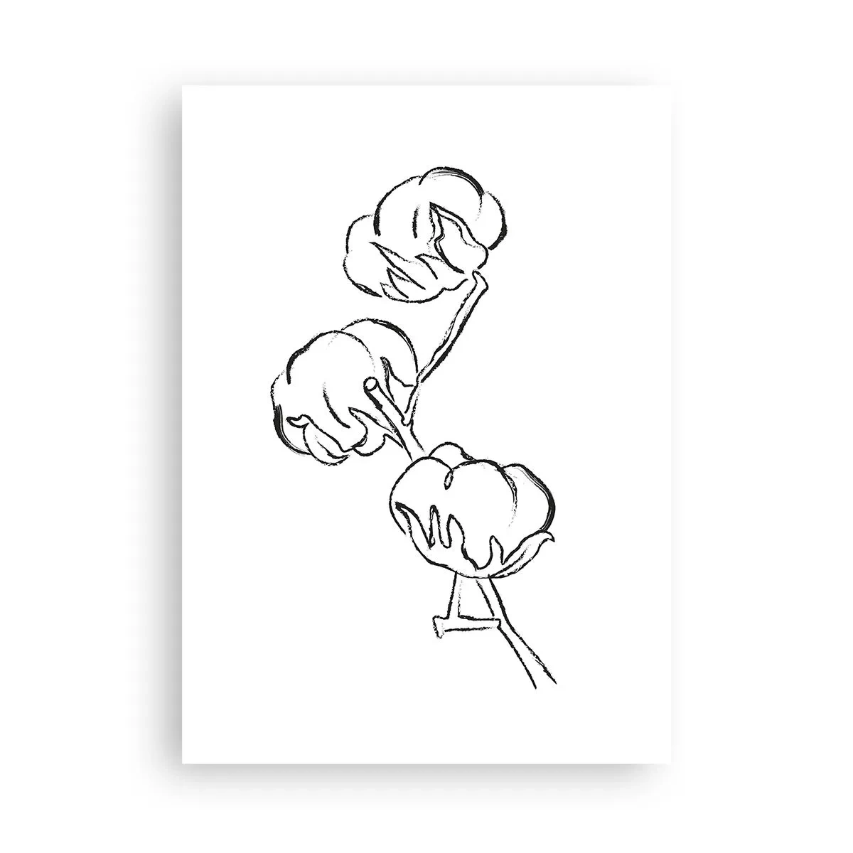 Poster - Pufuri de bumbac - 50x70 cm