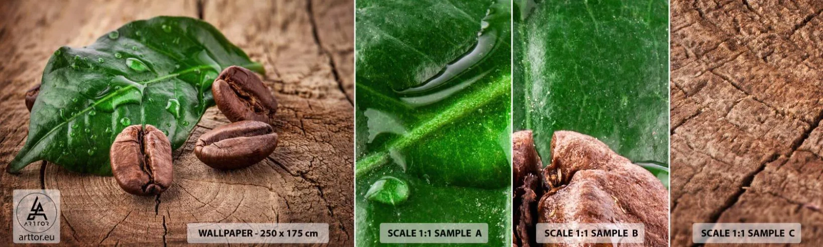 Mostră de Tapet Standard Eco - Cea mai adevărată și închisă la culoare - Gastronomie, Cafea, Boaba de cafea - 100x30 cm